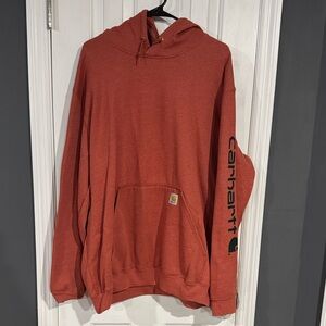 NWOT Carhartt Men's Amber Terrain Original Fit Hoodie